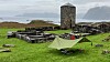 Munker dyrket medisinplanter i klosterhagene. Botanikere har gravd etter spor av medisinplanter i klosterruiner, blant annet på Selja kloster rett sør for Stadlandet.