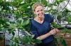 Anneleen Kool leter etter medisinplanter i gamle klosterruiner og tar vare på dem i Urtehagen i Botanisk hage. Foto: Yngve Vogt/Apollon