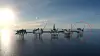 Johan Sverdrup fase to innebærer en ny prosessplattform (helt til høyre). Det er her kraftløsningen til hele Utsirahøyden skal installeres. Foto: Equinor