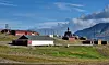 Skråningen nedenfor de gamle fjøs- og gårdsbygningene i Longyearbyen er næringsrik etter år med utkast av møkk og matrester. Her kan nye fremmede arter finne seg et voksested.