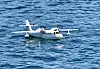 Med et vingespenn på 4,5 meter er denne modellen av Noemi et av de største modellfly i Norge. Modellen var på vingene under selskapets «hangar day» ved Tønsberg i juni i år. Foto: Jan M Moberg