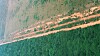 Over store deler av Amazonas har mennesker satt store spor, som her i Brasil. Det er nå bare noen få områder igjen som kan kalles villmark.
