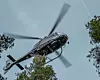 Glitre Nett skal teste ut toppkapping av trær langs høyspentlinjene.