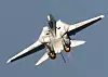 En F-14D Tomcat flyr over et hangarskip i juni 2006, bare måneder før USA tok flytypen ut av bruk. Foto: DoD photo by Petty Officer 2nd Class Miguel A. Contreras, U.S. Navy
