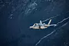 F-35A i Romsdalen i midten av november. Foto: Onar Digernes Aase / Forsvaret