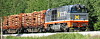 Nå starter tømmertransport på skinner fra den nedlagte Follum-fabrikken ved Hønefoss. Virket sendes til Halden for videre behandling av Norske Skog.Bildet viser tømmertog på Solørbanen 2009.