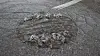 Vi har mer ekstremvær i vente, men det er store variasjoner i hvor godt forberedt kommunene er, viser en rapport fra Cicero bestilt av forsikringsselskapet If.
