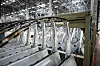 Intelligente fabrikker som krever minimalt med menneskelig tilsyn, kan bli den nye normalfabrikken i mange industrier.
