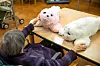 Robotselen Paro er en japansk oppfinnelse spesielt tiltenkt for demente pasienter. Den brukes i dag på sykehjem i flere land og er laget i flere ulike varianter. Foto: Said Karlsson