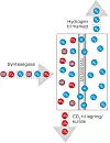 Illustrasjonen viser prinsippet for membranseparasjons­teknologien på Tjeldbergodden. Syntese­gassen består av CO2 og Hydrogen. Palladium ligger tynt utenpå perforerte rør. Kun hydrogenmolekyler slipper igjennom og fanges opp inne i rørene og føres videre. CO2 håndteres separat og kan lagres eller håndteres på annen måte. Foto: Reinertsen