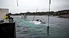 Det bergingsmannskapene frykter aller mest under hevingen av «Helge Ingstad» er det notorisk ustabile været.
