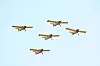 The Yellow Sparrows fra Luftforsvarets flygeskole gjennomfører et show med flytypen Saab Safari under Flydagen 2018 på Kjeller flyplass Foto: Torbjørn Kjosvold / Forsvaret