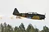 North American AT-6 Harvard rett over tretoppene.