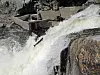 Miljødesign er en metode for å ta vare på dyr og natur samtidig som man produserer lønnsom fornybar energi. .