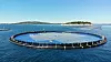 Løsningen til Ocean Sun trekkes frem i en ny markedsrapport for flytende solcelleanlegg fra Verdensbanken. Foto: Ocean Sun