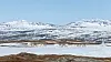 Villrein i Meråker med Litkjøln og Rundfjellet bak. Foto: Gorm Kallestad
