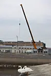 Operaen er fundamentert til fjell, og selve bygget vil stå stødig tross eventuell økt setningshastighet.
