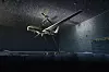 Tritons sensorer testes i et «ekkofritt» rom, et såkalt «anechoic chamber». Vingespennet på dronen er 40 meter, så det er kanskje mer korrekt å benevne dette som en ekkofri hangar.