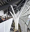 Det slipper rikelig med naturlig lys inn på stadion. Foto: Tottenham Hotspur Football Club