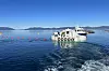 Lukkede oppdrettsanlegg er blant årsakene til at sjømatnæringen vil ha behov for mer strøm framover.