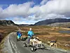 Dyrker hobbyen: Grete Aspelund takker sjelden nei til en runde med hundekjøring, som her på Beitostølen. - Jeg elsker det, og drømmer om en langtur! Foto: Privat