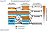 Diagram fra Econ Pöyrys rapport ET NYTT TRANSPORTPARADIGME I EMNING produsert for Samferdselsdepartementets Program for overordnet transportforskning (POT). Levert 29. desember 2010.