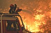 – Det blir vanligere og vanskeligere å kontrollere, enkelte områder i Europa har de gitt opp, sier seniorforsker ved RISE Fire Research, Ragni Fjellgaard Mikalsen.