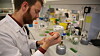 Erland Årstøl tar doktograd i bioteknologi ved NTNU. Han forsker på elektrondonasjon fra alger. Erland Årstøl. Fagfeltet er bioteknologi, temaet er alger og elektrondonasjon i fotosyntesen. Målet er at når algene får lys på seg så skal de donere elektroner til en anode og produsere strøm.