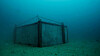 – Lagringsforholdene for champagne er helt optimale 60 meter under havoverflaten, hevder Pierre Bettinger ved champagnehuset Leclerc Briant.