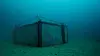 – Lagringsforholdene for champagne er helt optimale 60 meter under havoverflaten, hevder Pierre Bettinger ved champagnehuset Leclerc Briant.