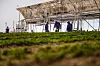 Resultatene fra pilotprosjektet Sahara Forest Project i Qatar (bildet) var gode. Foto: Sahara Forest Project