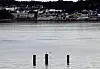 Disse pålene i Tresfjorden er det eneste som forteller om at byggingen av Tresfjordbrua nærmer seg.
