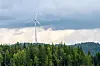 Kommunene Eidskog, Kongsvinger og Aurskog-Høland sier nei til vindkraftverk i egne kommuner, men de vil heller ikke ha vindkraft på svensk side av grensen.