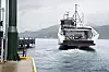 Hydra går på flytende hydrogen.