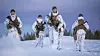 De nye uniformene til Forsvaret har fått et nytt kamuflasjemønster. Foto: Heiko Junge/NTB