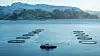 Mowi bytter installerer nå batteripakker på flere av sine fôrflåter. Dette bildet er fra Beitveit i Vanylvsfjorden i Nordfjord.