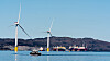 De elleve flytende havvindturbinene til Hywind Tampen er sammenstilt her ved Wergeland base i Sløvåg i Ytre Sogn. Her ligger de siste turbinene klare for å bli tauet ut til feltet. Foto: Eirik Helland Urke