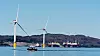 De elleve flytende havvindturbinene til Hywind Tampen er sammenstilt her ved Wergeland base i Sløvåg i Ytre Sogn. Her ligger de siste turbinene klare for å bli tauet ut til feltet. Foto: Eirik Helland Urke