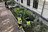 Dette regnbedet i Deichmans gate i Oslo ble bygget for å forsinke og rense regnvann. Flere slike i hager og bakgårder kan trolig bidra til færre vannskader. Foto: Bent Braskerud