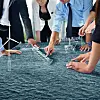 Vi søker nyutdannede innen teknologi og IT til DNV GL Graduate 2020! Les mer her »
