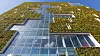 Rådhusets gartnere må venne seg til å arbeide i høyden. Foto: Epea