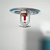 Når temperaturen stiger tilstrekkelig oppunder taket, vil væsken i glassrøret i et standard sprinklerhode som dette ekspandere slik at det til slutt sprekker. Dermed vil vannet, som står under trykk i rør på innsiden av himlingen, få fritt leide. Foto: VB