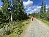 I dette området skal miljørådgiver Even Stensrud og Vegvesenet reparere gammel ødelagt myr med ny myr fra riksvei 4-prosjektet over Lygna. Foto: Per Kollstad/Statens vegvesen