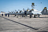 T-38 Talon-flyene til U.S. Air Force er midlertidig tatt ut av tjeneste. Bildet viser fire slike fly som har ankommet Columbus Air Force Base under en øvelse tidligere i år. Hvert fly har to seter.