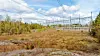 Her i Skogsäter ble det gjort omfattende arbeider i 2020, noe som reduserte kapasiteten mellom Norge og Sverige. – Ut fra markedsmeldingen de sendte ut på starten av året var det vanskelig å forstå at arbeidet skulle vare så lenge og være så omfattende, sier Per Arne Vada i Energi Norge.