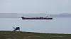 Bygging av en ny kraftlinje til Hammerfest kan påvirke reindriftsnæringa negativt, advarer NVE. Illustrasjonsbilde av reinsdyr som beiter ved Honningsvåg.