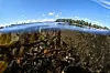 Forurensning, utbygging i strandsonen og overfiske har ført til at Oslofjorden er under for stort press, ifølge forskere.