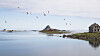 Miljøbevegelsen mener tyske Wintershall DEA's oljeboringsplaner er så nært Lofoten at et utslipp derfra vil havne i Vestfjordbassenget med katastrofale følger. Her fra Røst i Lofoten i Nordland.