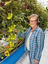 Nibio-forsker Michel Verheul kunne konstatere at tomatavlingene økte med 20 prosent ved bruk av CO₂ fra luft i et lukket veksthus. Foto: Greencap Solutions