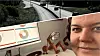 Det trønderske vegprosjektet, E6 Kvål-Melhus, var fra før av ett av Norges mest innovative byggeprosjekter. Nå har koronasituasjonen tvunget fram nye, digitale arbeidsmetoder. På PC-skjermen har BIM-manager Kristine Borgersen full oversikt over fremgangen i prosjektet. Gjennom saksbehandlingssystemet blir hun varslet når andre ferdigstiller oppgaver som hun skal gjøre sluttkontroll på.